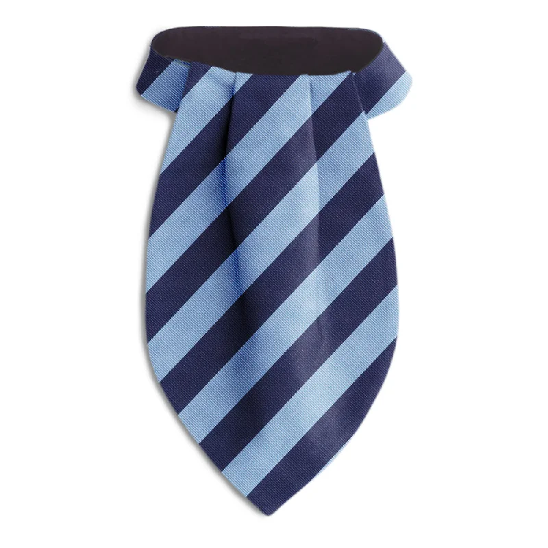 business silk necktie ideas for formal wear-Academy Navy/Blue - Ascots