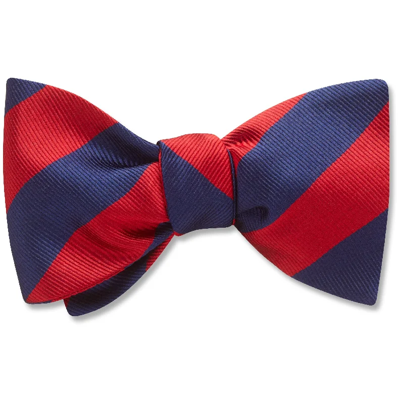 slim silk necktie designs for office wear-Academy Navy/Red - bow ties