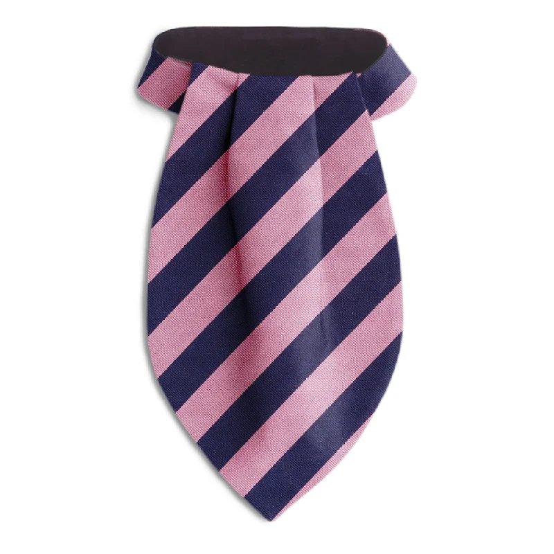 affordable silk wedding necktie designs-Academy Pink/Navy - Ascots