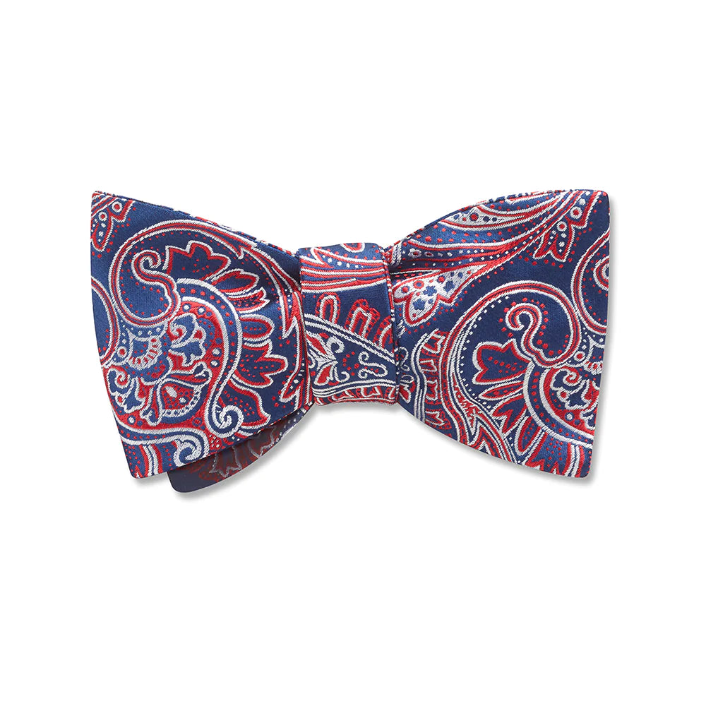 premium silk ties for corporate wear-Alexandria - Kids' Bow Ties