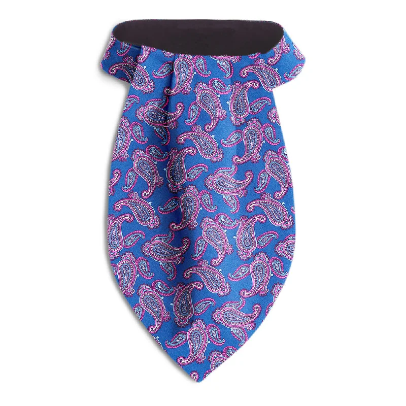 unique silk necktie combinations for office wear-Beaudry - Ascots