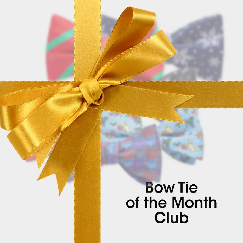 classic silk wedding necktie sets-Bow Tie of the Month Club (6 months)