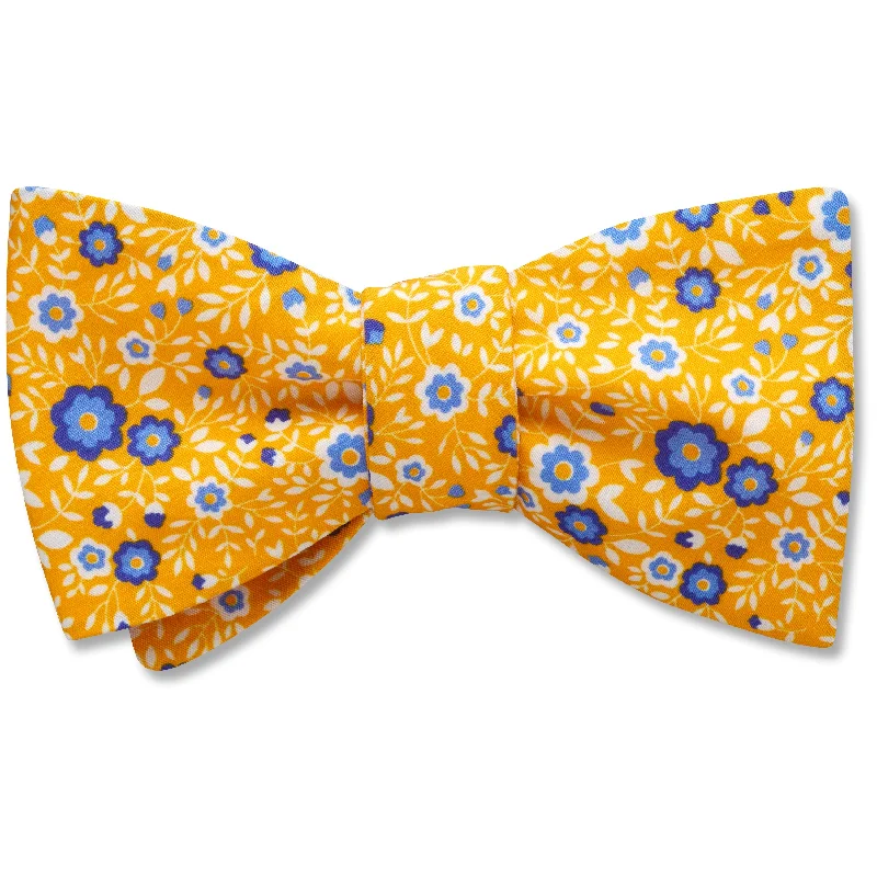 stylish silk necktie options for business meetings-Chicorium - bow ties