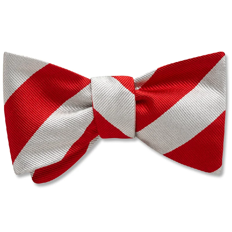 vibrant silk necktie designs for corporate events-Collegiate Red and Silver - bow ties