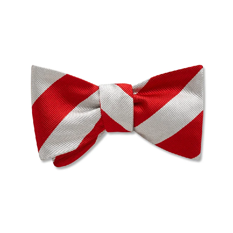 affordable silk necktie patterns for wedding celebrations-Collegiate Red and Silver - Kids' Bow Ties