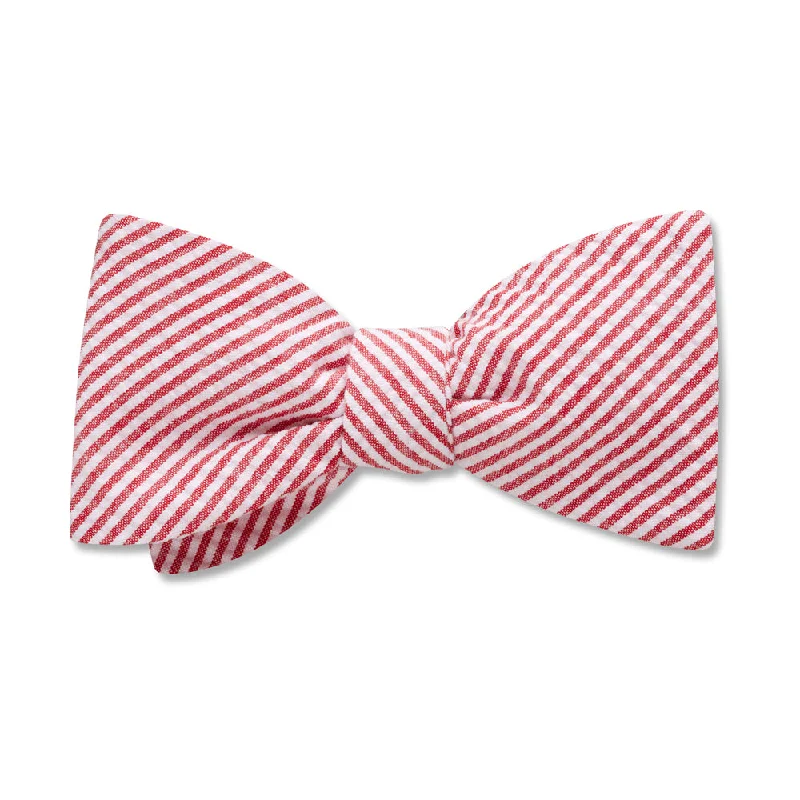 stylish silk necktie ideas for office wear-Hopkinson - Kids' Bow Ties