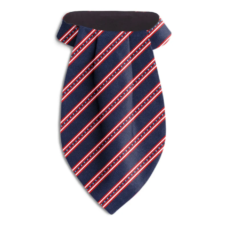 unique office silk necktie colors for men-Independence - Ascots