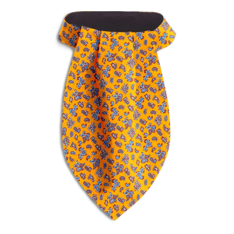 modern silk wedding tie ideas for men-Ischitella - Ascots