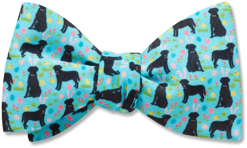 stylish wedding necktie combinations-Labrabunny - bow ties