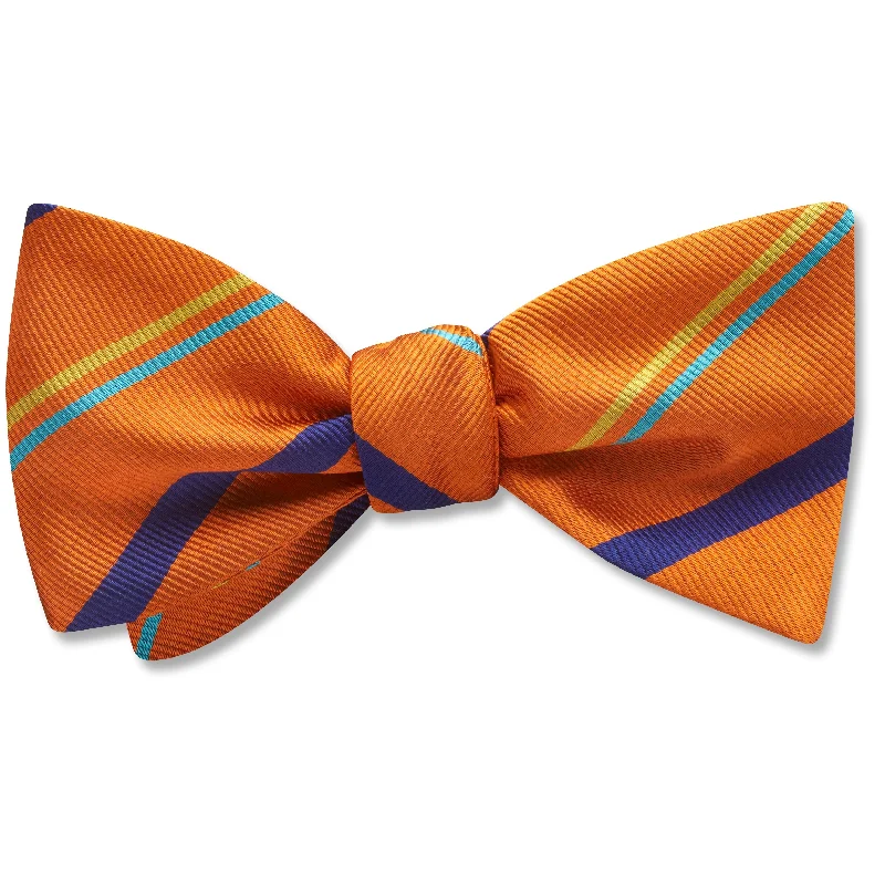 vibrant silk necktie designs for wedding events-River Nore - Dog Bow Ties