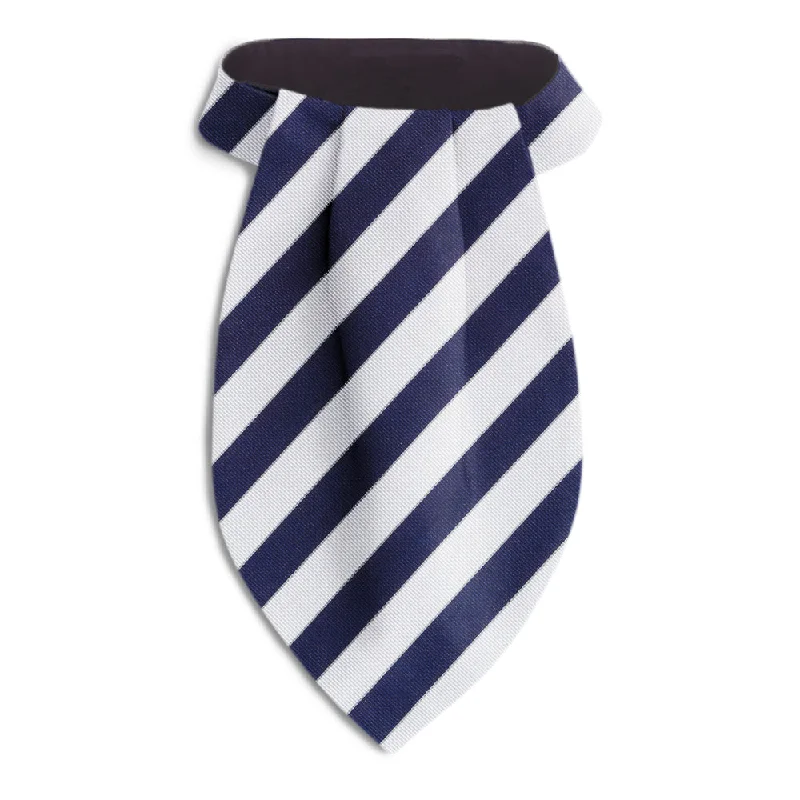 unique wedding silk necktie styles for men-Scholastic Blue/White - Ascots