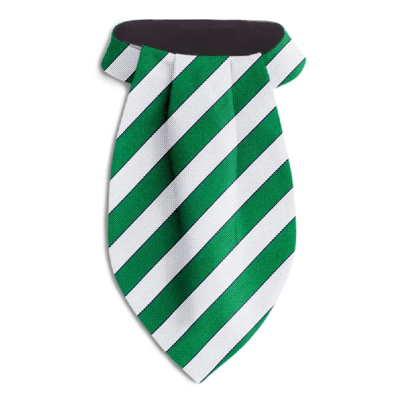 elegant business silk necktie options-Scholastic Green/White - Ascots