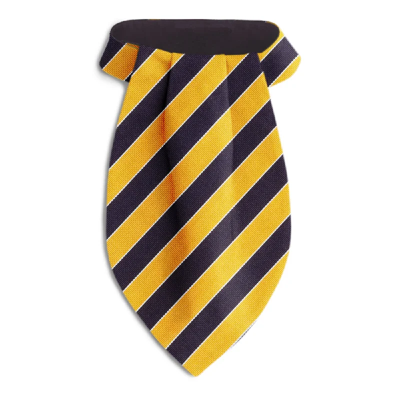 luxury silk wedding necktie designs for men-Scholastic Navy/Gold - Ascots