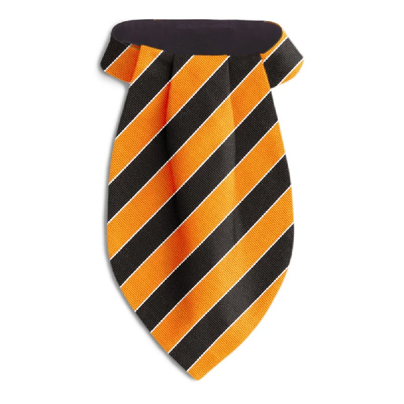 stylish silk necktie combinations for formal events-Scholastic Orange/Black - Ascots