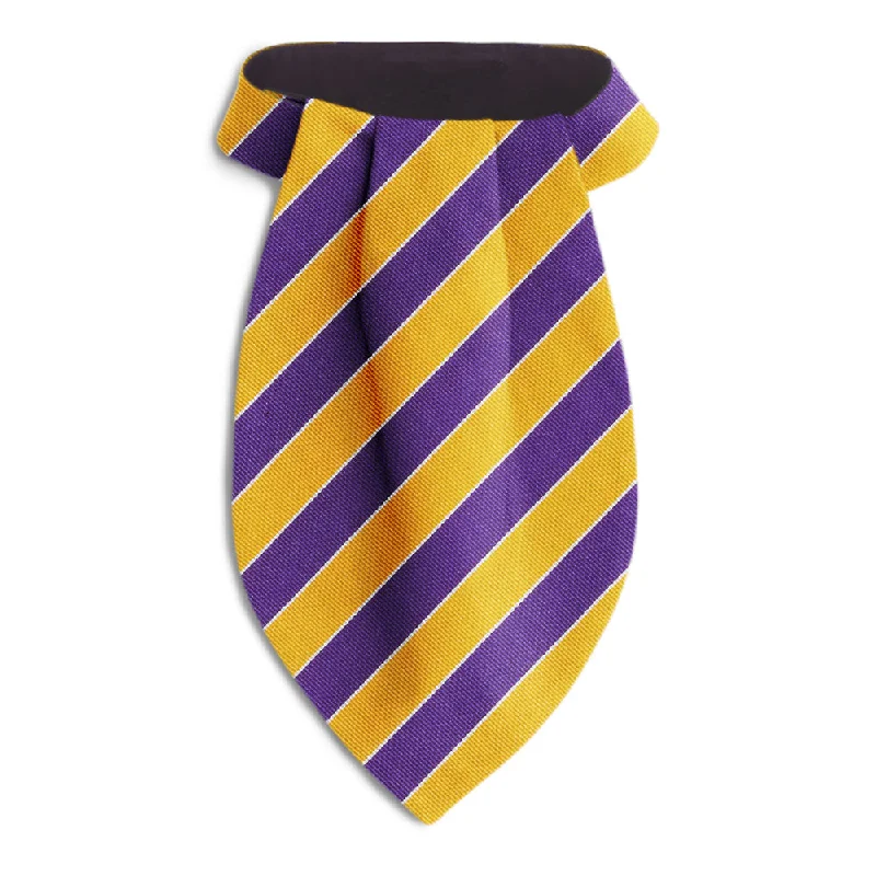 affordable silk bow ties for formal events-Scholastic Purple/Gold - Ascots