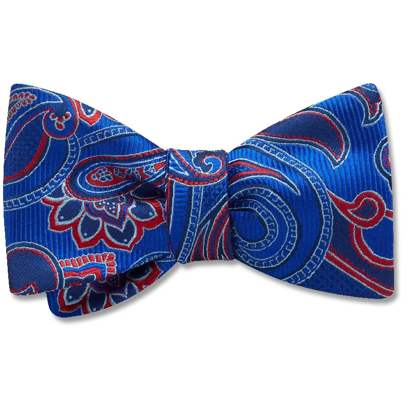 stylish silk necktie sets for corporate wear-Shelburne Bay - bow ties