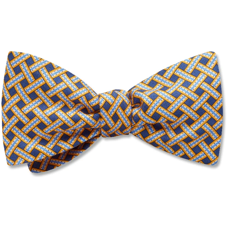 luxury silk bow ties for business meetings-Ventosa - bow ties