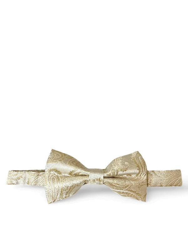 affordable silk bow tie sets for wedding parties-Taupe Paisley Bow Tie